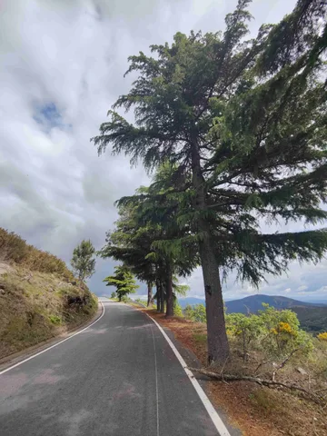 Parada de Monteiros — Maio 2026
